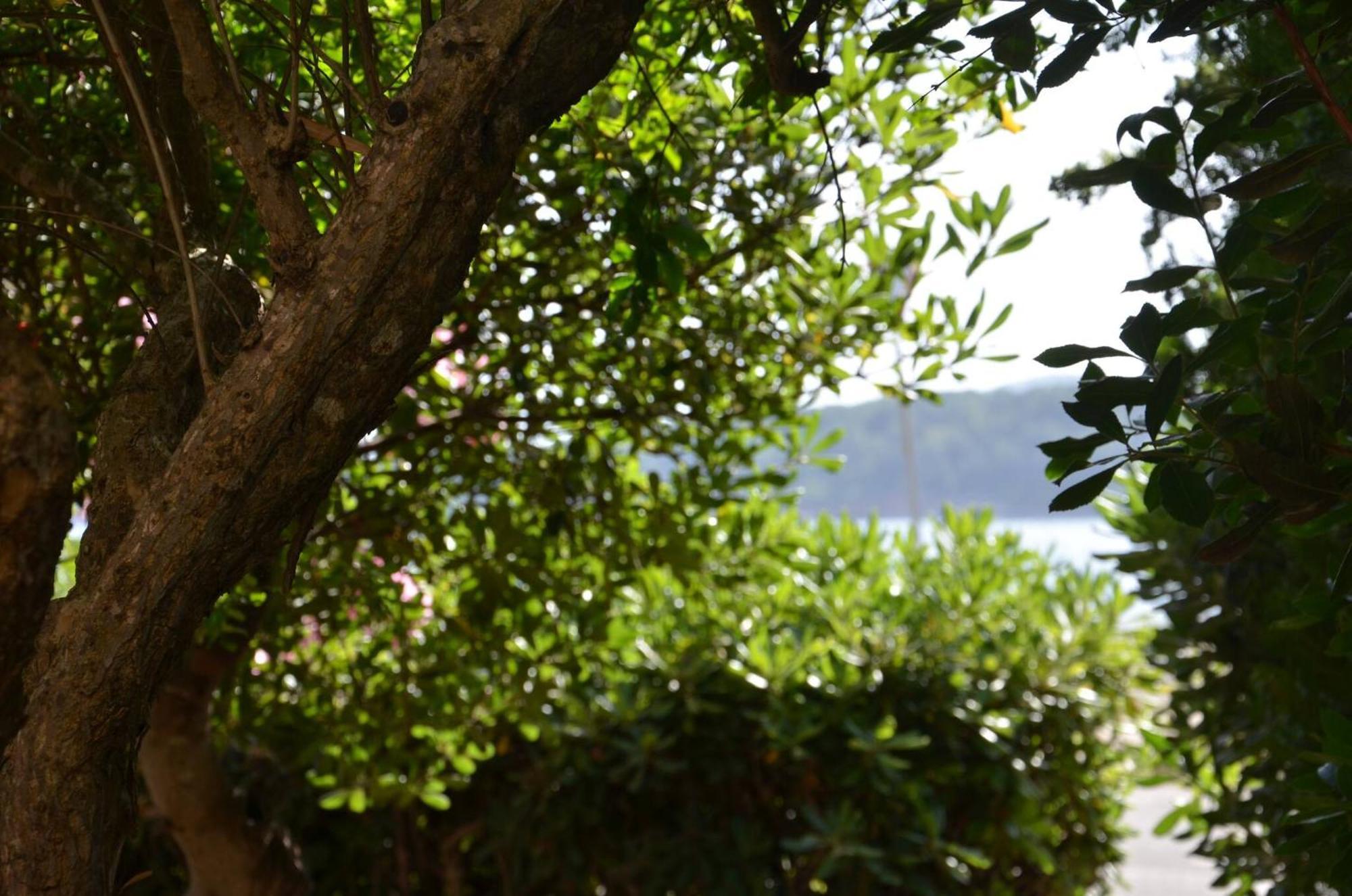 Fantastic Sardinia Villette Con Giardino Fronte Mare Fertilia Faho-Gav01-Gav02 Exterior foto