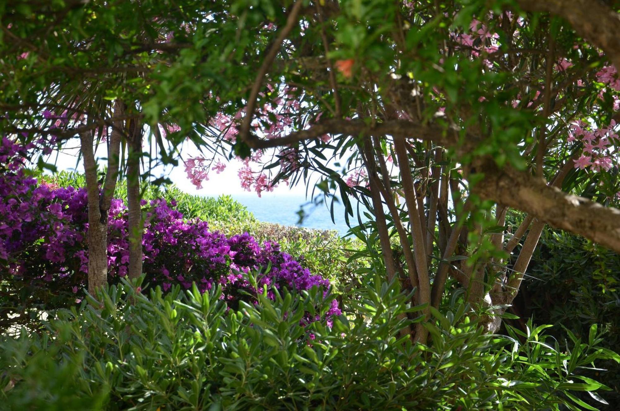 Fantastic Sardinia Villette Con Giardino Fronte Mare Fertilia Faho-Gav01-Gav02 Exterior foto