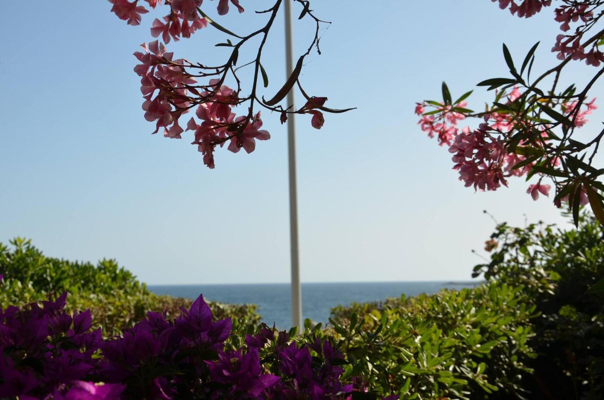 Fantastic Sardinia Villette Con Giardino Fronte Mare Fertilia Faho-Gav01-Gav02 Exterior foto