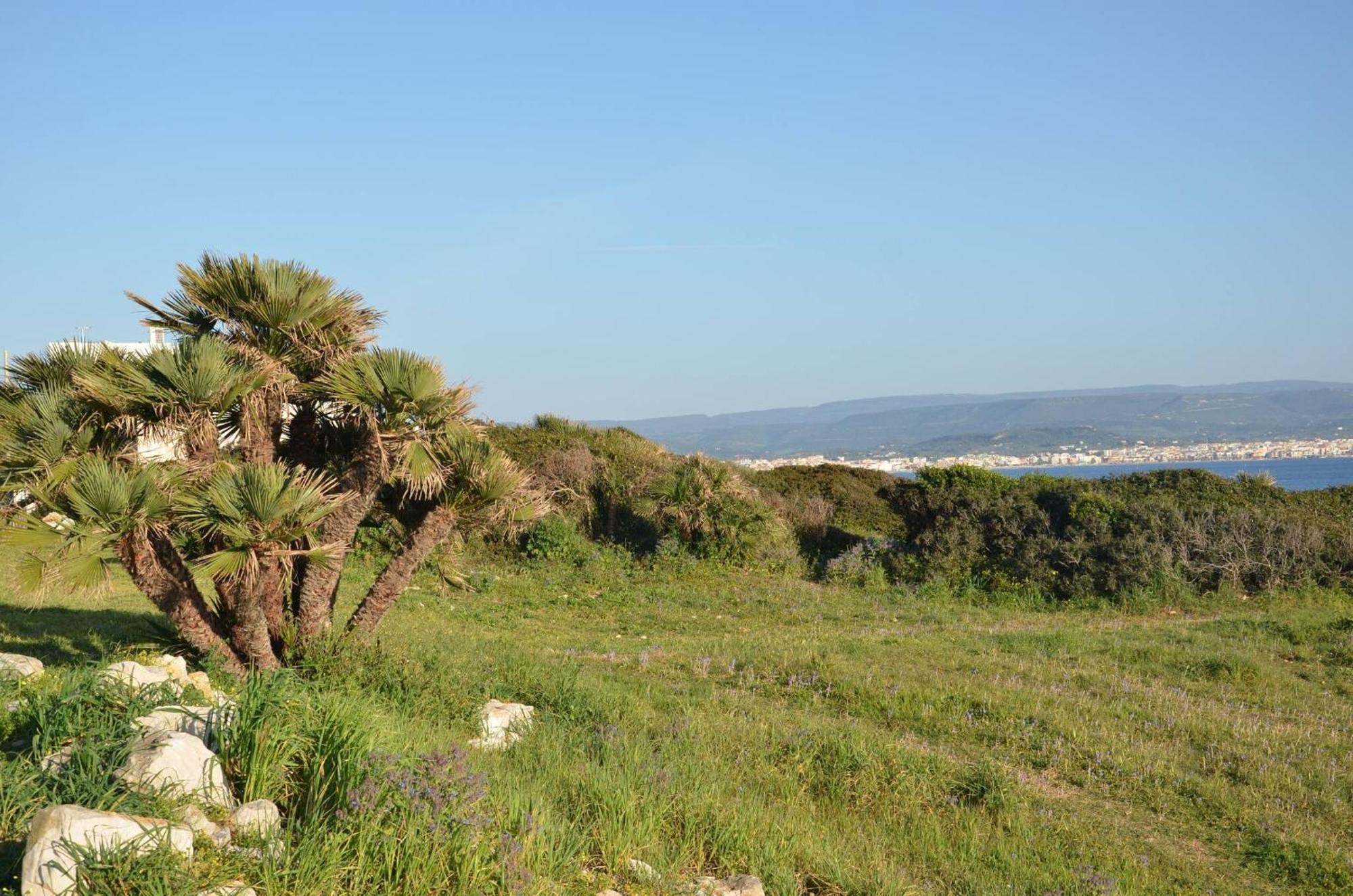 Fantastic Sardinia Villette Con Giardino Fronte Mare Fertilia Faho-Gav01-Gav02 Exterior foto