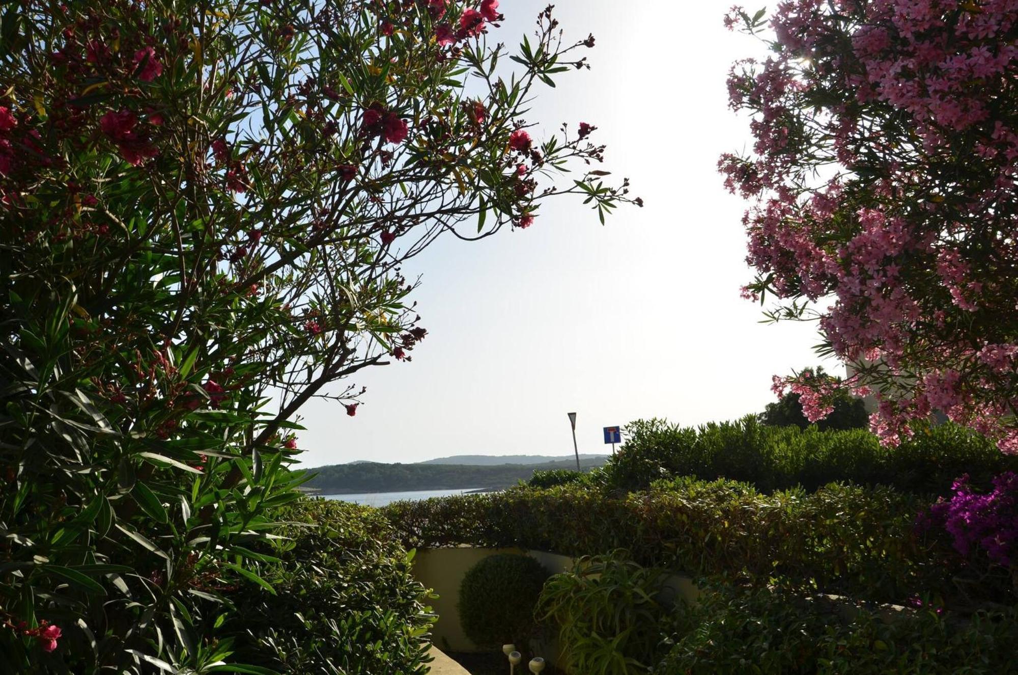 Fantastic Sardinia Villette Con Giardino Fronte Mare Fertilia Faho-Gav01-Gav02 Exterior foto